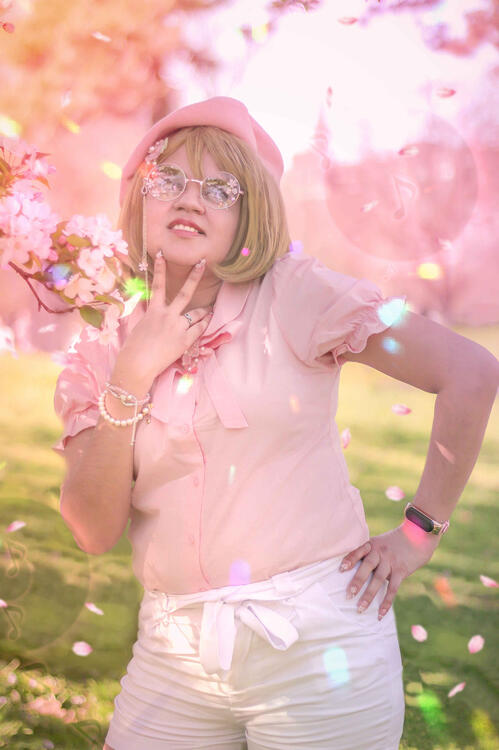 Sweet Sakura Photo