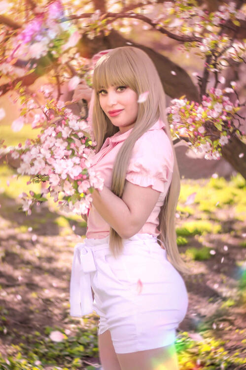 Sweet Sakura Photo